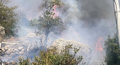 Bodrum'da makilik yangını