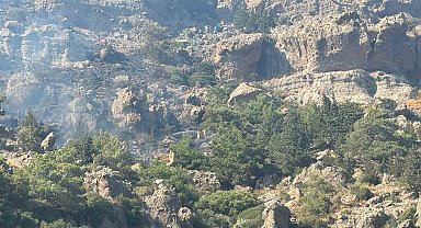 Bodrum'da makilik yangını