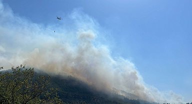 Bodrum'da orman yangını