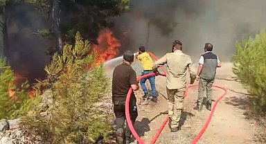 Bodrum'da orman yangını