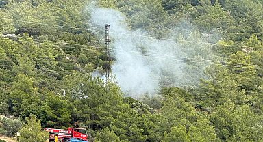 Bodrum'da ormanda çıkan korkutan yangın büyümeden söndürüldü