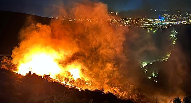Bornova'daki orman yangının nedeni; ters çevrilen mangal