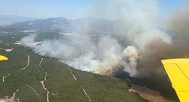 Buca'da orman yangını