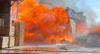 Bursa Yenişehir'de kereste fabrikasında yangın