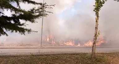 Bursa'da 20 dönüm ekili buğday yandı