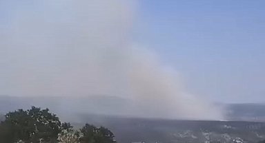 Bursa'da orman yangını