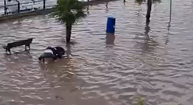 Bursa'da sağanak, yolları göle çevirdi