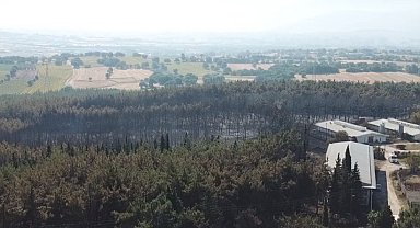 BUÜ Rektörü Prof. Dr. Yılmaz: 7 bin 500 dönüm ormanımızın 766 dekarı zarar gördü