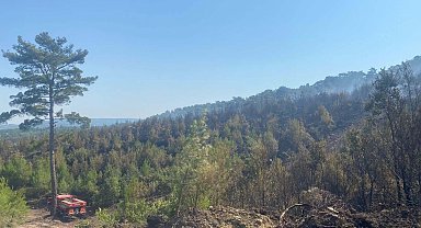 Çanakkale Ayvacık'taki orman yangını 2'nci gününde