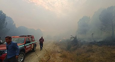 ÇANAKKALE'de çıkan orman yangını kontrol altına alındı