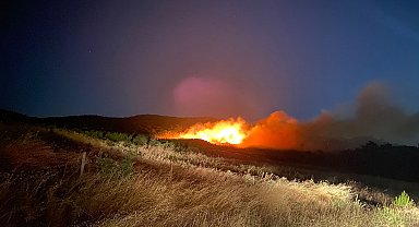 Çanakkale'de orman yangını