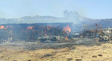 Çanakkale'de tarım arazisinde yangın