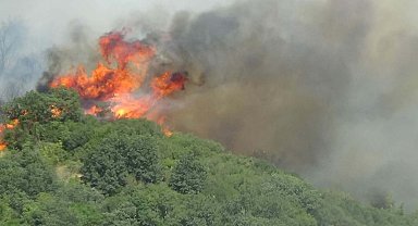 Çanakkale'deki orman yangını 26 saatte kontrol altına alındı