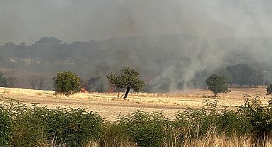 Çanakkale'deki orman yangını kontrol altına alındı