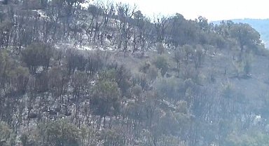 Çanakkale'deki orman yangınında 2'nci gün