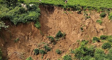 Çay bahçelerinde 'pasif drenaj' heyelanları tetikliyor