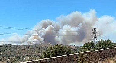 Çeşme'de orman yangını