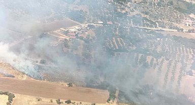 Çeşme'de orman yangını