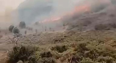 Çeşme'deki yangın; ölmeden önce çektiği son görüntüde kaçmaya çalıştıklarını anlatmış