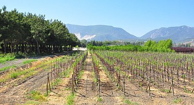 Çinli BYD'nin Manisa yatırım yapacak olması, kentte sevinçle karşılandı