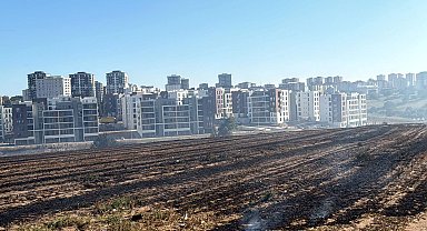 Çorlu'da tarlada başlayan yangın, yerleşim yerine ulaşmadan söndürüldü