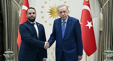 Cumhurbaşkanı Erdoğan, güven mektuplarını kabul etti