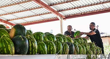 Denizli'de ürünü elinde kalan karpuz üreticisine destek
