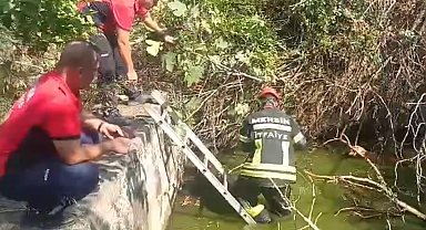 Dereye yatağına düşen köpek kurtarıldı