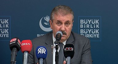 Destici: Sokaklarımız köpeklerden temizlenmeli