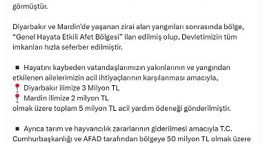 Diyarbakır ve Mardin'deki yangın için bölgeye 55 milyon TL ödenek gönderildi