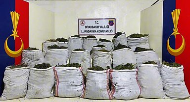 Diyarbakır'da 1 milyon 781 bin kök kenevir, 511 kilo esrar ele geçirildi; 1 gözaltı