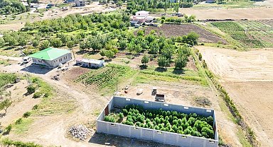 Diyarbakır'da 177 bin 495 kenevir bitkisi ile 65 kilo esrar ele geçirildi