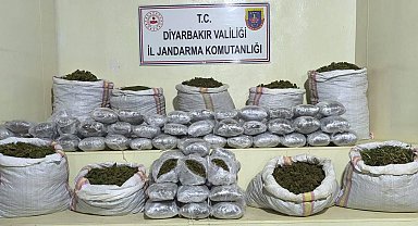 Diyarbakır'da 2 milyon 669 bin kök kenevir ile 203 kilo esrar ele geçirildi