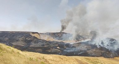 Diyarbakır'da anız yangını 9 saatte söndürüldü, 12 bin dönüm arazi zarar gördü