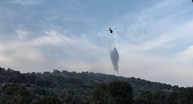 Diyarbakır'da çıkan orman yangınları, büyümeden söndürüldü