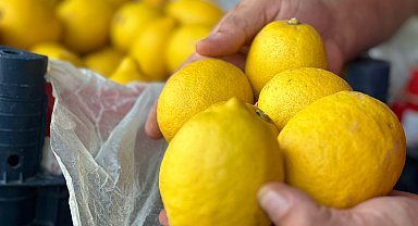 Domatesin fiyatı düştü, limonun arttı