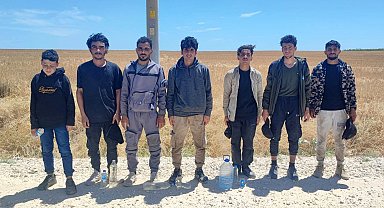 Edirne'de 7 kaçak göçmen yakalandı