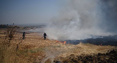 Edirne'de anız yangınında 150 dönüm tarım alanı zarar gördü