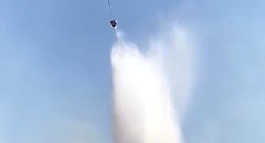 Edirne'de orman yangını