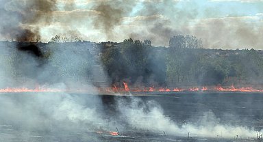 Edirne'de otlukta yangın; ekipler ve mahalleli seferber oldu