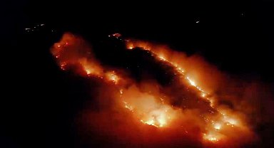 Elazığ'da orman yakınında örtü yangını