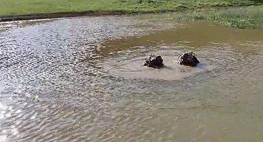 ERZURUM'da gölete giren 3 çocuktan biri boğuldu
