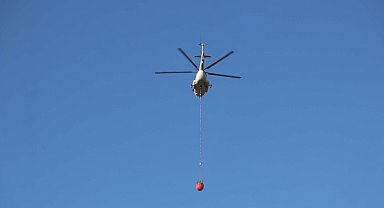 Gaziantep'te orman yangını