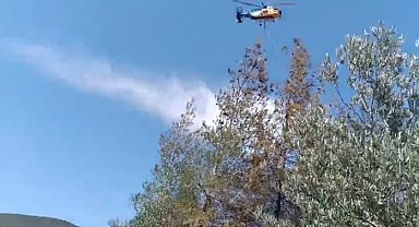 Gaziantep'teki orman yangını 1 saatte söndürüldü