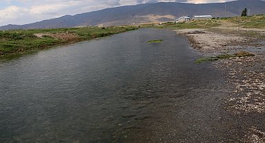 Geçen yıl kuruyan inci kefalinin en büyük üreme alanı, yağışlarla hayat buldu
