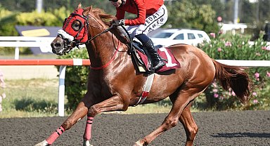 Geleneksel Pertevniyal Lisesi yarışını okulun mezunlarından Toygar Akdikmen'in atı kazandı