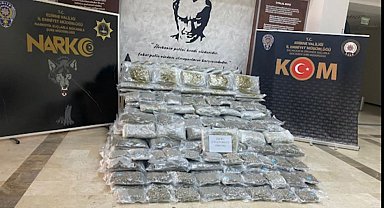 Hamzabeyli Sınır Kapısı'ndan giriş yapan TIR'da 266 kilo skunk ele geçirildi