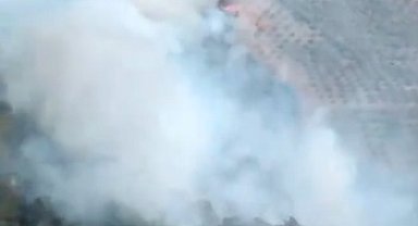 Hatay'da orman yangını