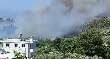 Hatay'da yerleşim yeri yakınında orman yangını