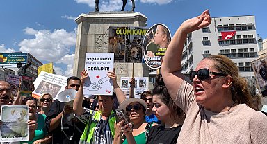 Hayvanseverlerden sokak köpeklerine yönelik düzenlemeye tepki